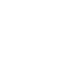 icon1-1
