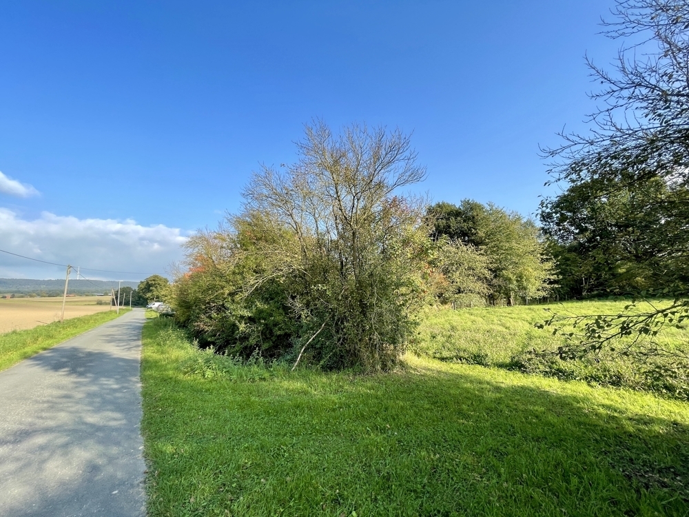 Umfeld