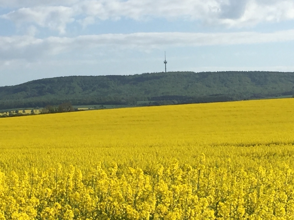 Der Deister