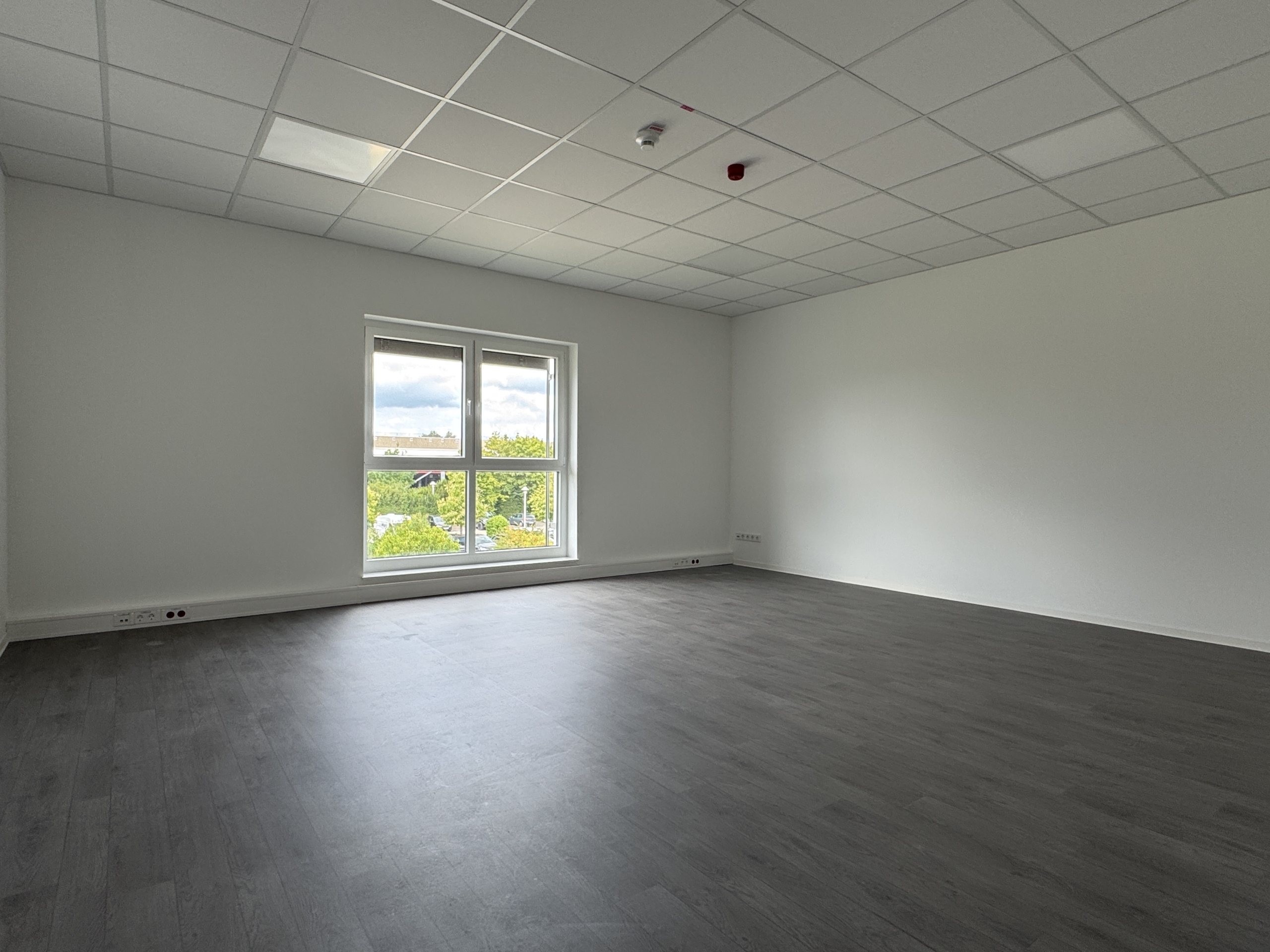 Büro OG