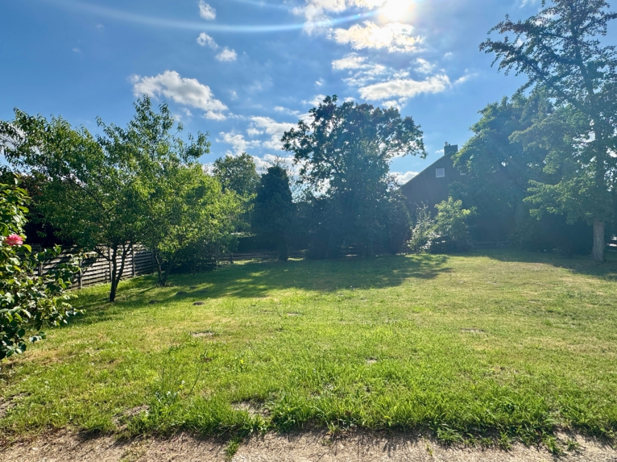 Blick in den traumhaften Garten