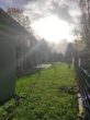 RUDNICK bietet ERSTBEZUG: Citynahes Wohnidyll + Wärmepumpe + Photovoltaik... - Haue 7,8,9,10 Gartenseite