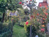Garten 1