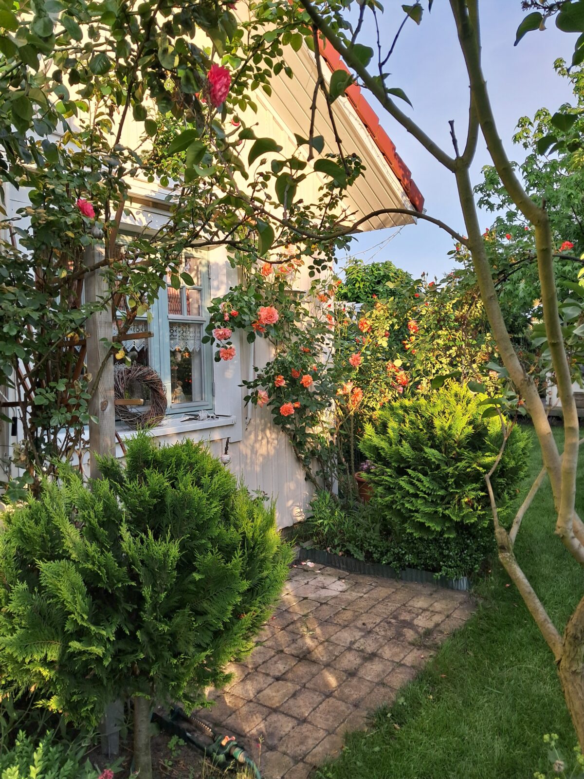 Garten Erker Seite