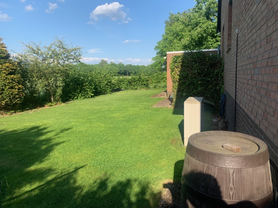 großer und pflegeleichter Garten