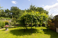 Gartenansicht